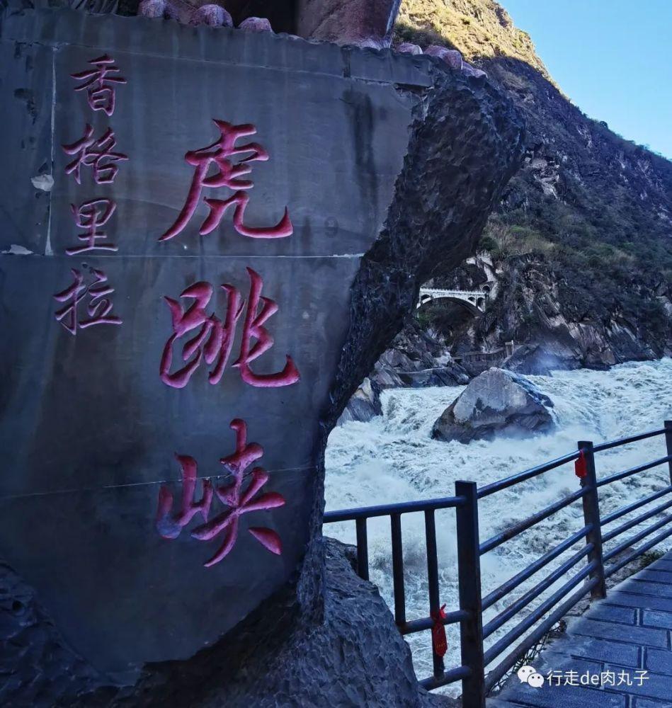 阿方索-戴维斯:在拜仁很舒服,我在欧洲最顶级俱乐部之一效力